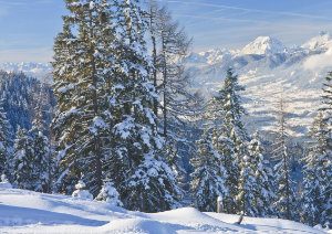 winter-austria-reference-th