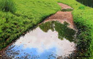 Puddle