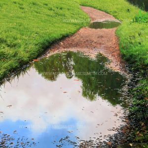 How To Paint A Puddle