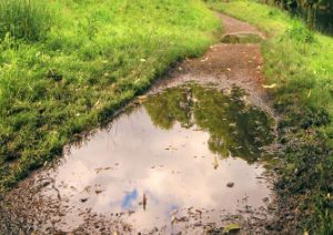 puddle-reference-th